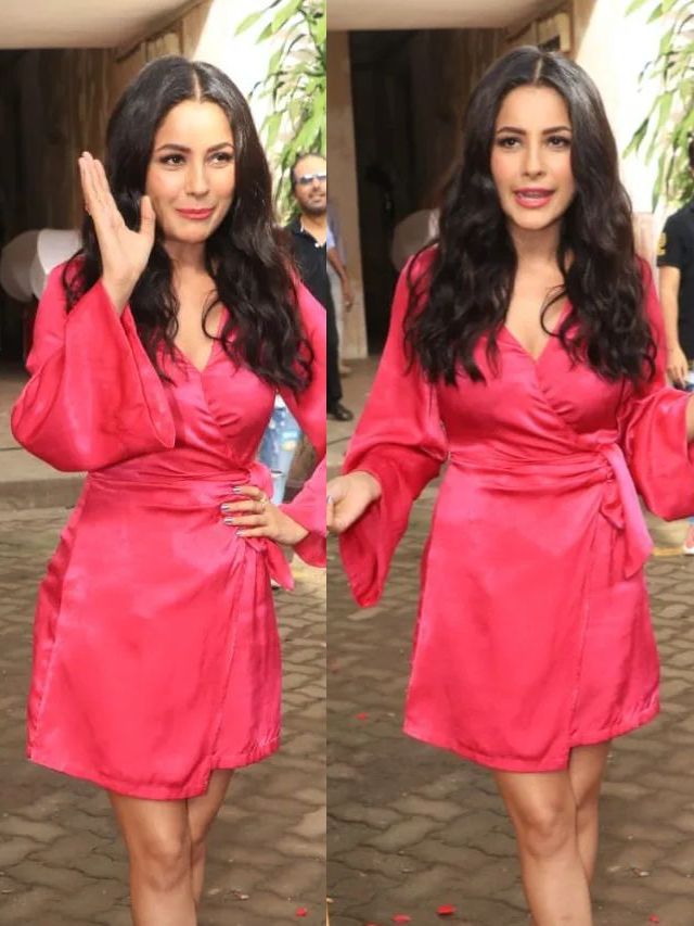 Shehnaaz Gill stunning look in pink dress