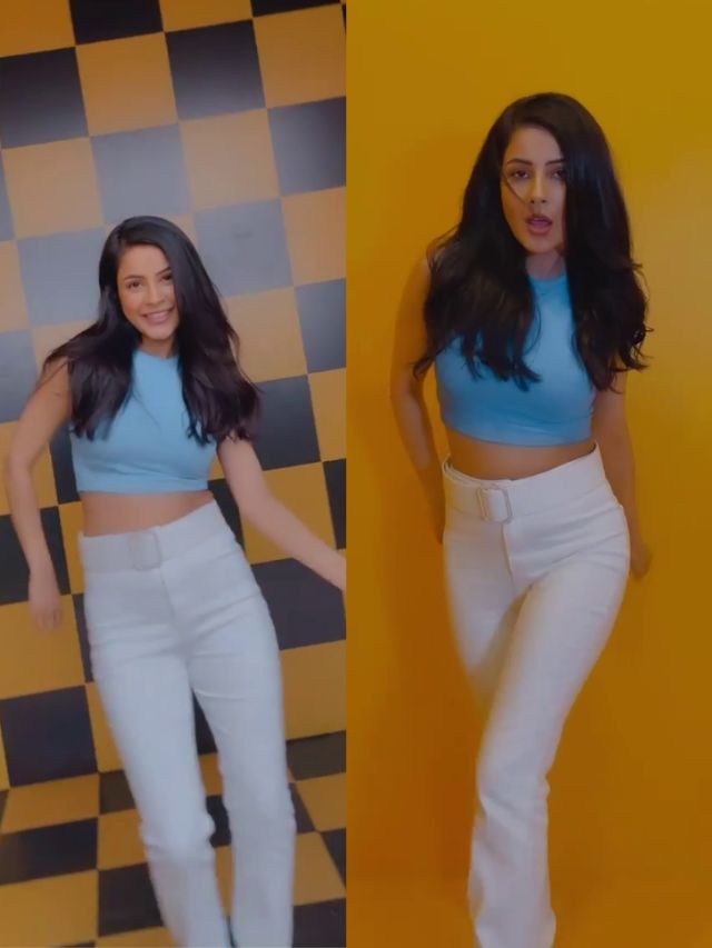 Shehnaaz Gill showed tremendous dance moves in crop top and high pants