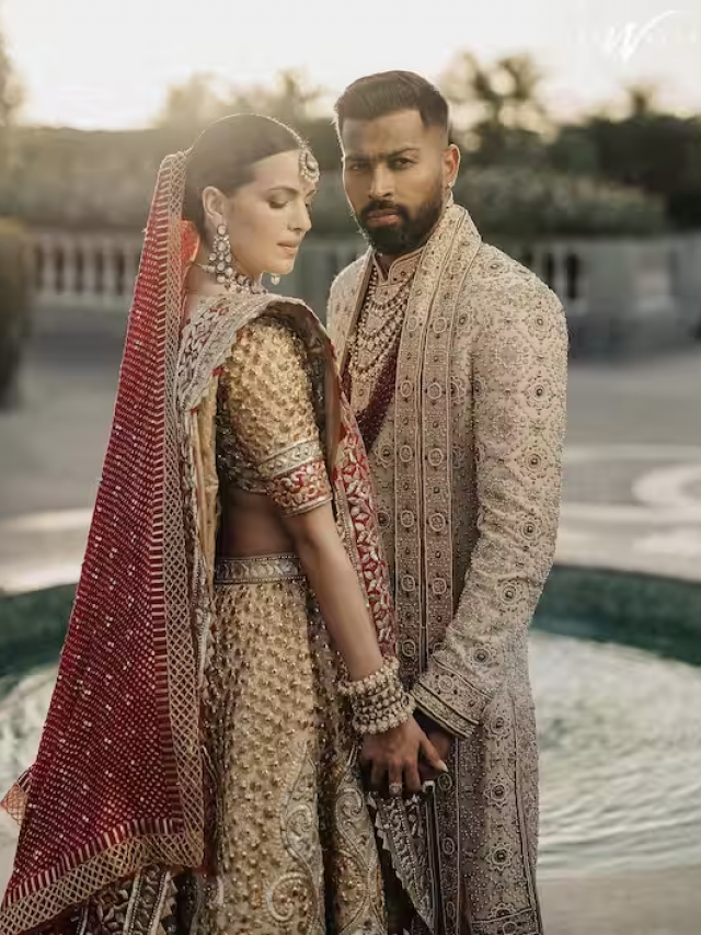 नताशा स्टेनकोविक-हार्दिक पांड्या ने शेयर की शादी की नई तस्वीरें