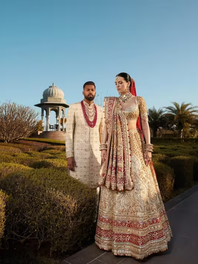 पूरी शादी में सबसे ज्यादा स्पेशल था Natasha Stankovic का ब्लाउज