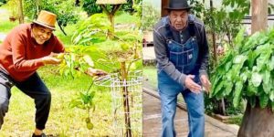 धमेंद्र