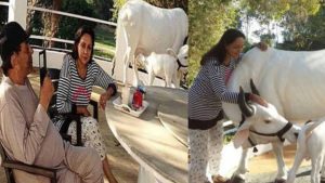 धमेंद्र