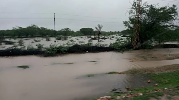 राजस्थान में सामान्य से 48 फीसदी अधिक बारिश, पूरे मानसून का अपडेट, जानें कहां क्या स्थिति?