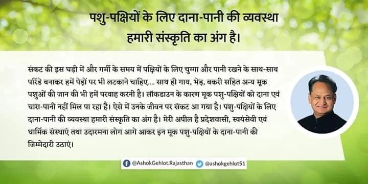 लॉकडाउन में युवाओं का पर्यावरण और प्रकृति की सेवा का अनूठा प्रयास, पाली के युवा की मुहिम से जुड़ रहे सैकड़ों लोग