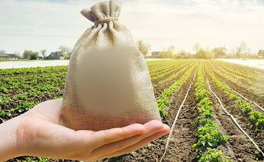 Record area of 1095.38 lakh ha has been coveredunder Kharif crops