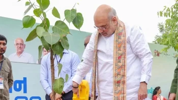 अहमदाबाद का गिनीज वर्ल्ड रिकॉर्ड: मियावाकी तकनीक से 1 घंटे में लगाए 3.61 लाख पौधे