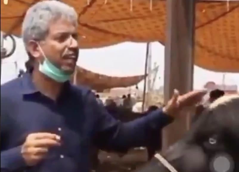 Pakistani reporter interviews a buffalo on Eid, video goes viral