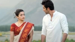 विवादों में घिरी 'एनिमल' ने बॉक्स ऑफिस पर मचाया था धमाल, अब 'एनिमल पार्क' की हलचल तेज