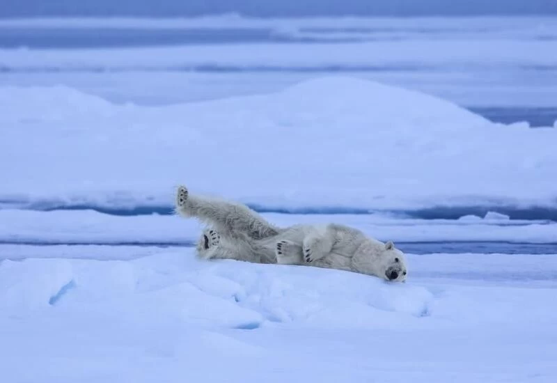 Norway's Arctic archipelago records its highest-ever temperature of 21.7 °C