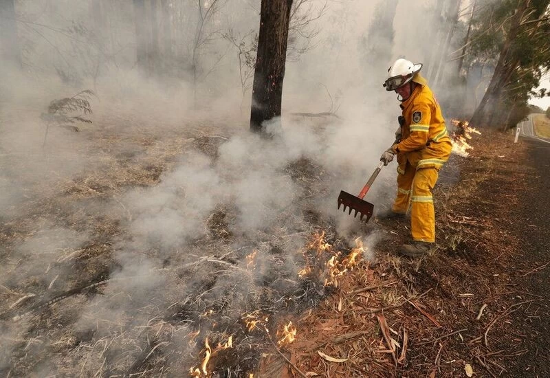  जंगल की आग में 50 करोड़ जानवरों की मौत, दिल दहला देने वाली है तस्वीरे 
