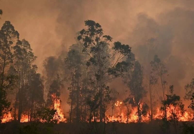 'दुआएं आयी काम', ऑस्ट्रेलिया में विकराल होती जंगल की आग पर बारिश का मरहम 