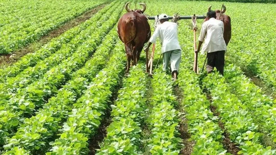 Bihar CM Samrat Chaudhary Transfers 200 Crore To 3.96 Lakh Farmers