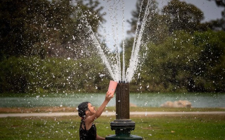 रिकॉर्ड तोड़ गर्मी के बीच कनाडा में मरने वालों की संख्या बढ़कर 719 हुई