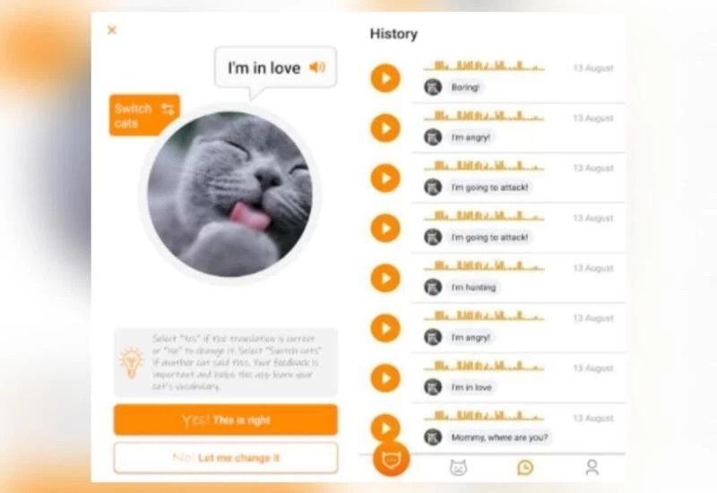 US firm creates app to translate cat's meow