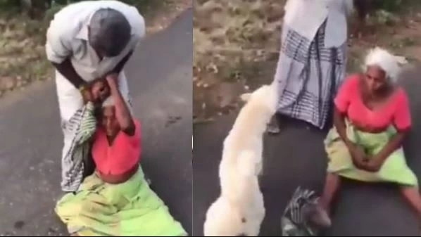 जब बेटा बना हैवान तो पालतू बेजुबान ने बचाई जान, Video में देखें किस तरह कुत्ते ने निभाई वफादारी