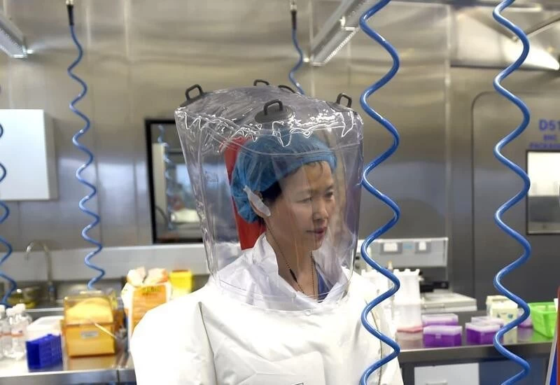 China's 'Bat Woman' provides new evidence her lab isn't source of COVID-19