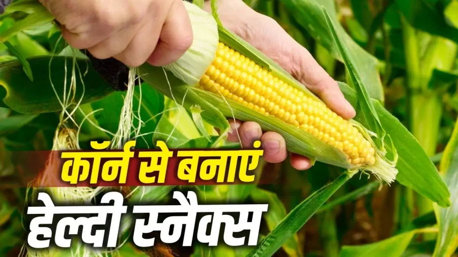 डाइट में फाइबर की कमी? पाचन सुधारने के लिए ट्राई करें कॉर्न के ये 5 बेहतरीन स्नैक्स