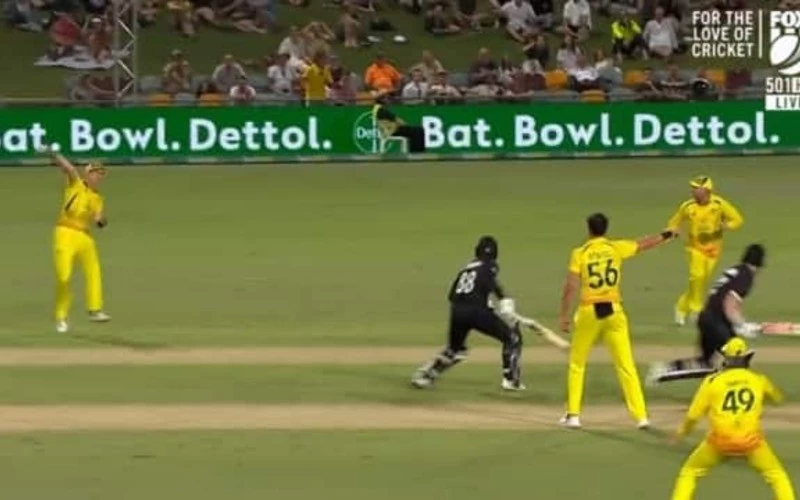 Childish act of Australian and Kiwi players Kane Williamson survived watch funny  video