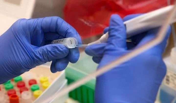 Man creates fake COVID-19 +ve report to stay away from wife, booked