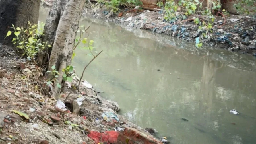 Delhi Identifies 8 Problematic Drains: Major Obstacles To Flood Control Identified