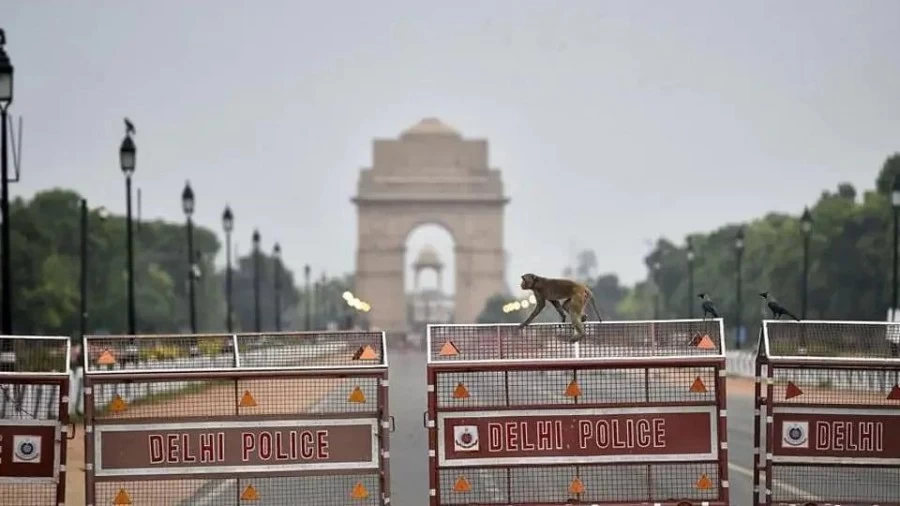 कोविड-19 केस बढ़ने के बीच दिल्ली में येलो अलर्ट जारी; स्कूल, सिनेमाघर व जिम किए गए बंद