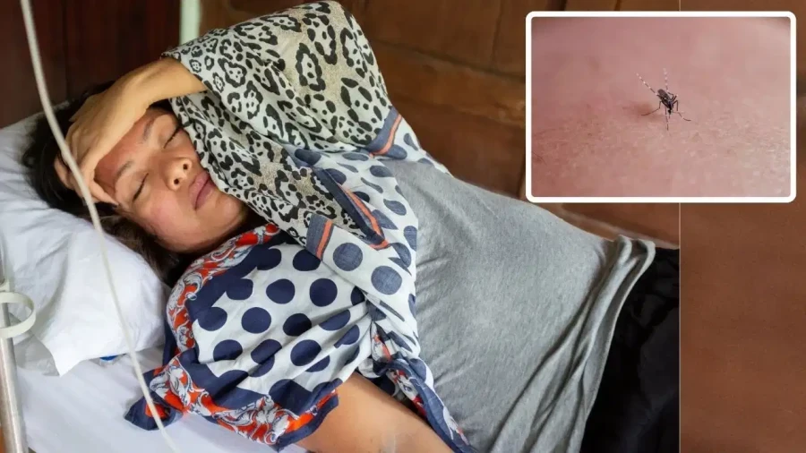 Dengue Platelet Count: Why You Should Not Panic Over Low Numbers