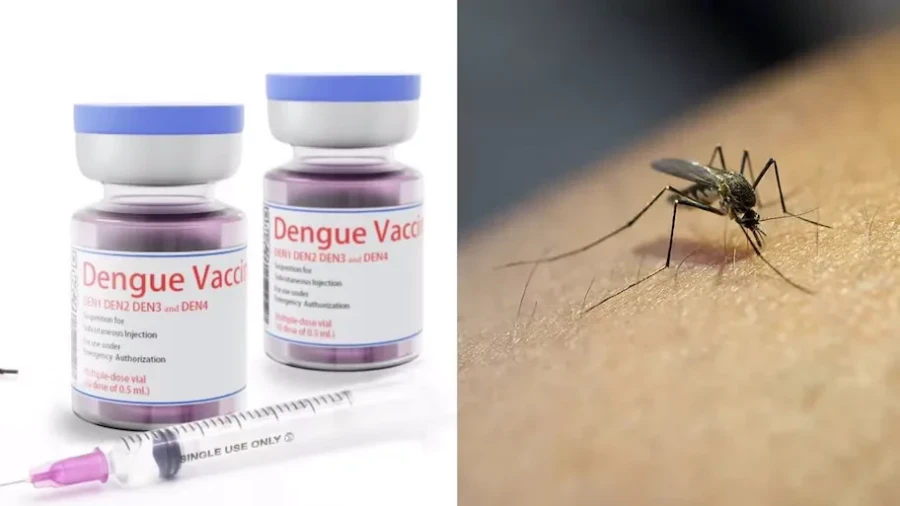 India Approves First Dengue Vaccine: How Qdenga Dose Works to Combat Virus