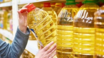 Edible Oil Prices May Drop: Government Considers Import Duty Cut Before Festivals