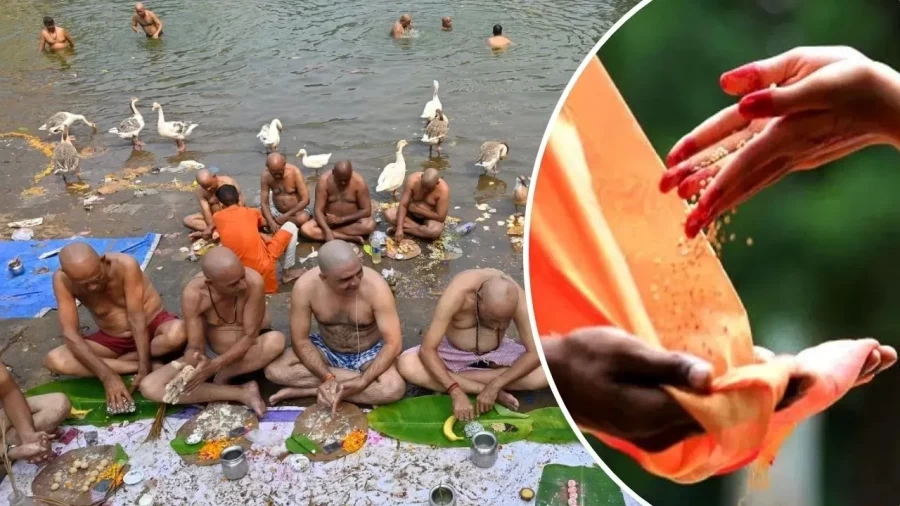 फाल्गुन अमावस्या 2026: पितृ तर्पण और राशि अनुसार दान का विशेष महत्व