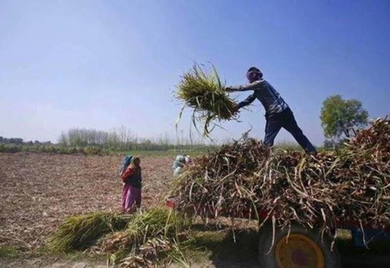 Centre paid ₹1,364 cr to undeserving beneficiaries under PM-KISAN: RTI data