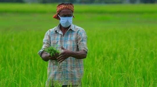 UP releases ₹159.29 crore assistance for 4.77 lakh flood-affected farmers