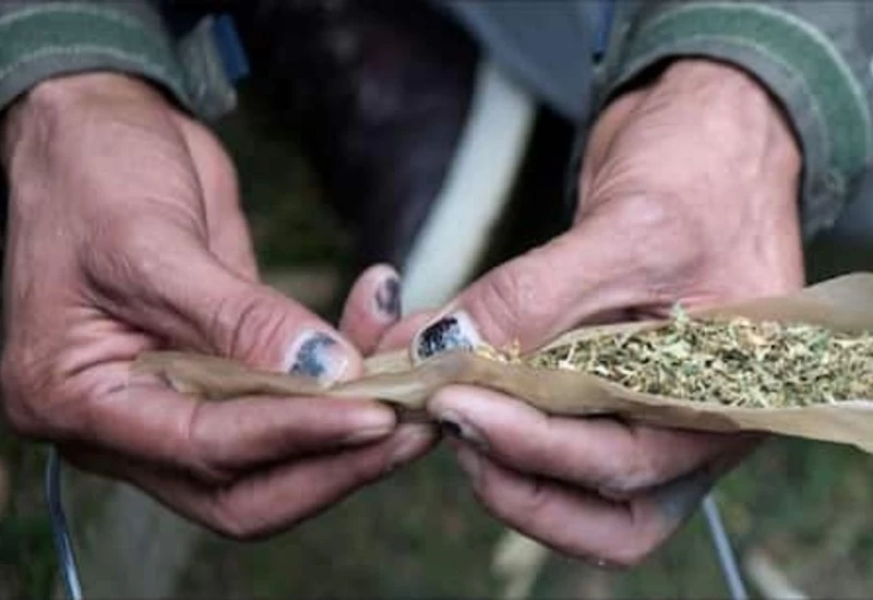 इस देश में गांजे के शौक़ीन हो जाए खुश, जल्द हटेगा प्रतिबंध