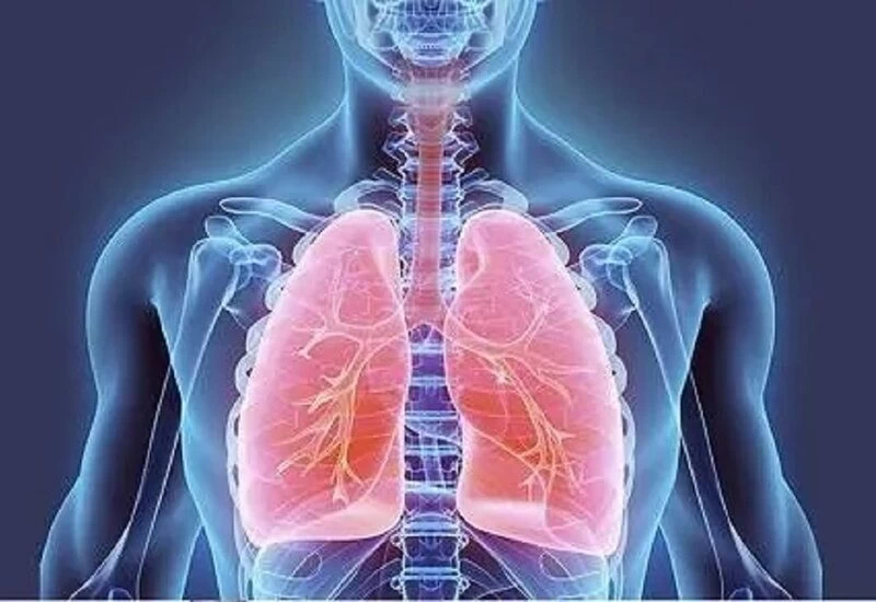 अहमदाबाद के डॉक्टर ने किया दावा कोरोना वायरस फेफड़ों को बना देता है पत्थर