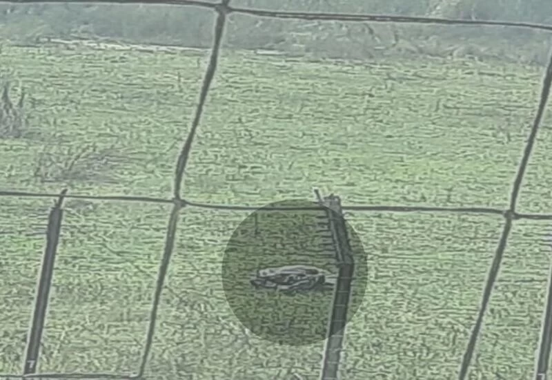 Pak intruder killed along international border by BSF in Jammu