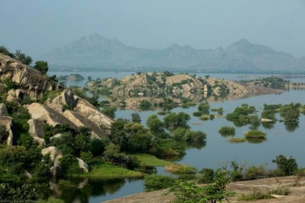 राजस्थान में सामान्य से 48 फीसदी अधिक बारिश, पूरे मानसून का अपडेट, जानें कहां क्या स्थिति?