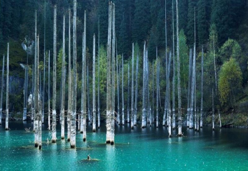 The world's most peculiar lake, where the entire forest is underwater