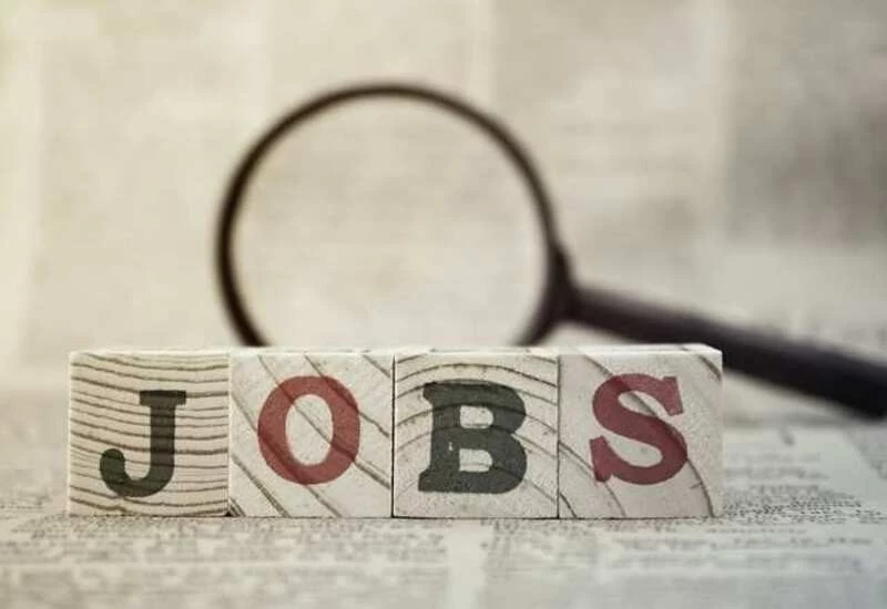 बिना एग्जाम के सरकारी नौकरी का मौका, ग्रेजुएट्स करें अप्लाई