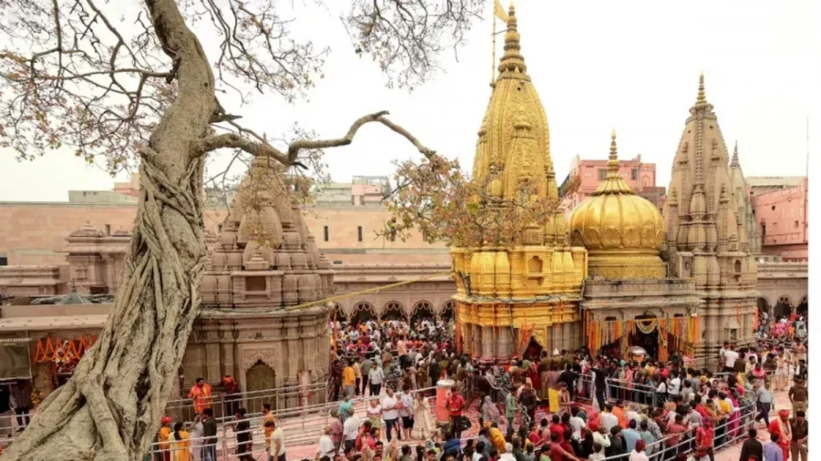 वाराणसी में शहर से बाहर शिफ्ट होंगी मीट और मछली की दुकानें, नगर निगम का बड़ा फैसला