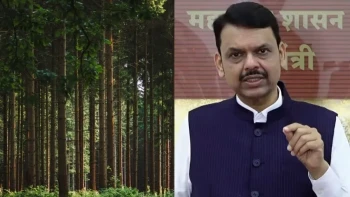 Maharashtra Tree Cutting Controversy, CM Fadnavis Defends Project - Read Full Report Here