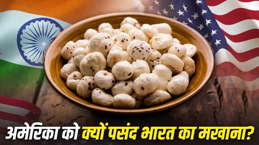 भारतीय मखाना: अमेरिका क्यों है सबसे बड़ा खरीदार? जानिए 5 मुख्य कारण