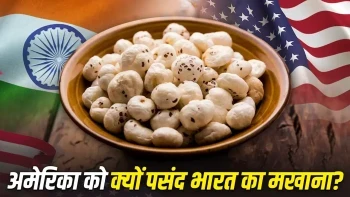 भारतीय मखाना: अमेरिका क्यों है सबसे बड़ा खरीदार? जानिए 5 मुख्य कारण