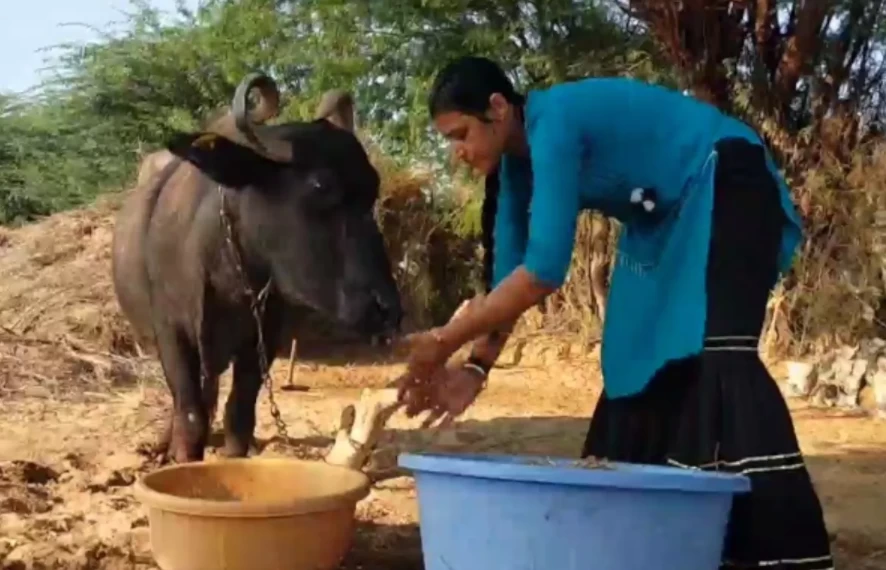 टूटा राजस्थान  की 'कप्तान' का सपना,चूल्हे-चौके तक सिमट गई जिंदगी