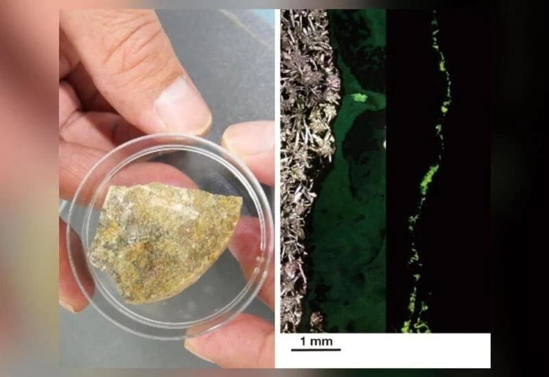 Scientists find microbes in deep-sea rocks, say life on Mars may be similar