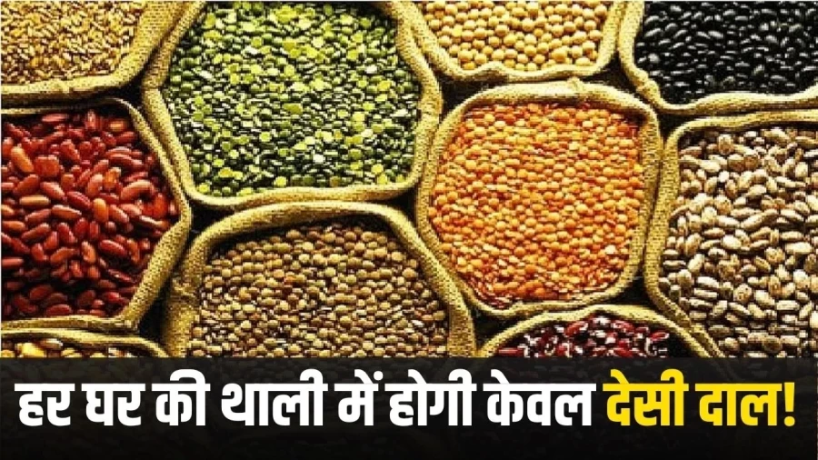 अब विदेशी दाल नहीं मंगानी पड़ेगी, मोदी सरकार का बनाया ये मास्टरप्लान