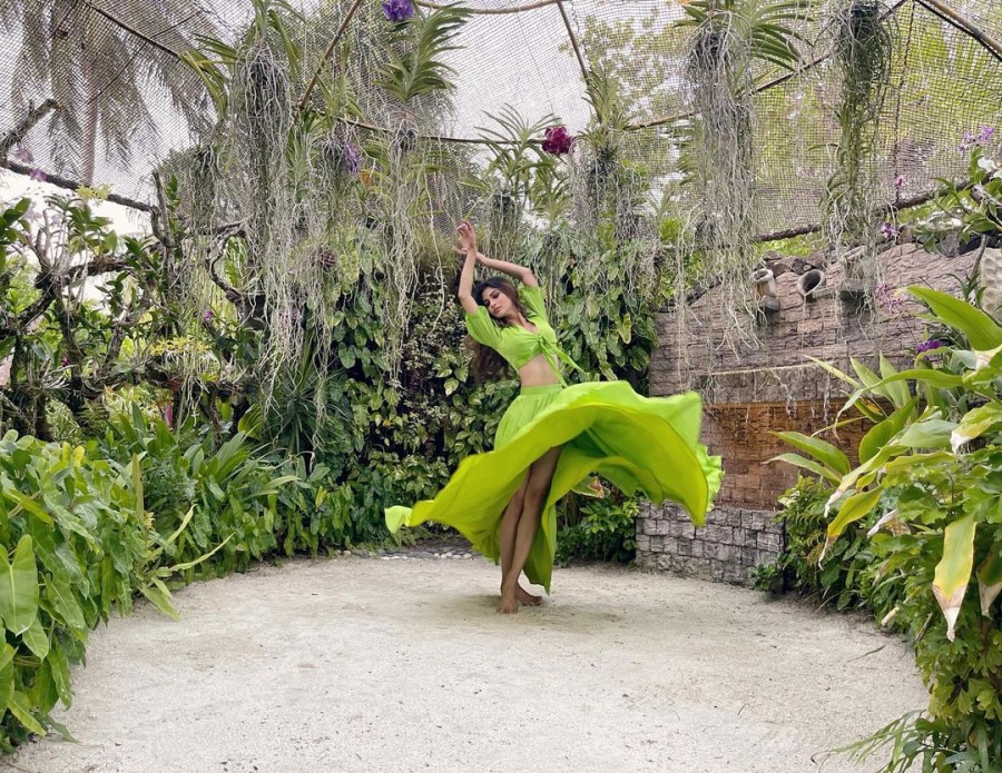 टीवी पर किया है जमकर काम