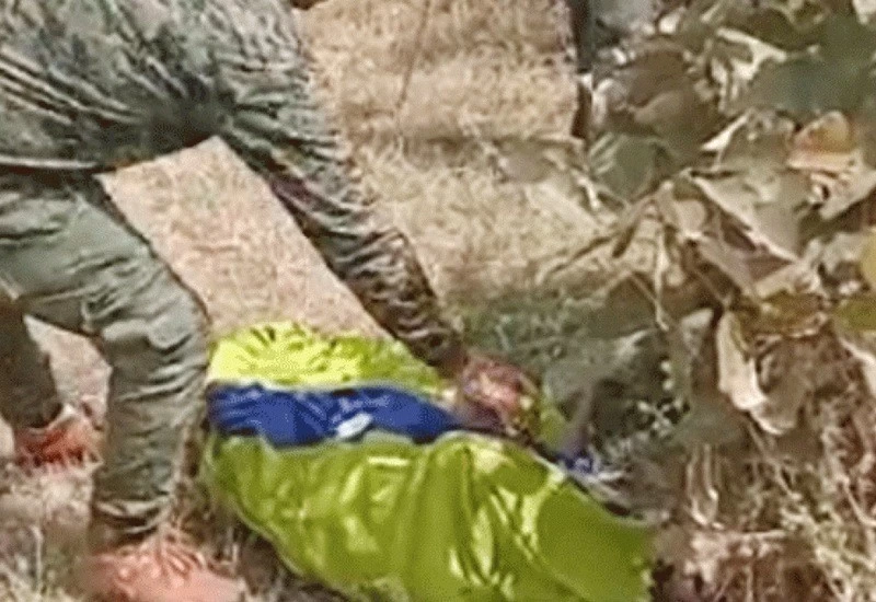 खेत में सो रही 55 साल की बुजुर्ग महिला पर एक बाघ ने कर दिया हमला, खा गया पेट और पैर