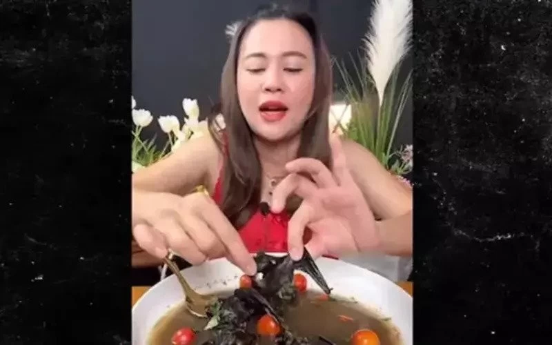 Woman drank bat soup, said this by mentioning corona