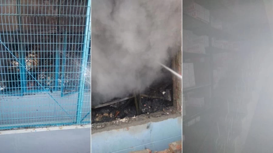 Fire breaks out at a factory in Delhi’s Mundka, 17 fire engines at spot