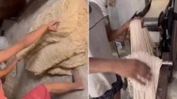 How Noodles made in Factory will leave you in shock check making process