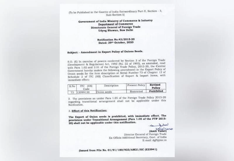 Govt bans export of onion seeds with immediate effect